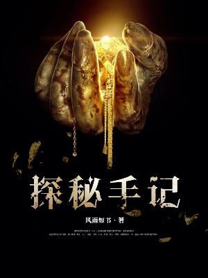 探秘手记