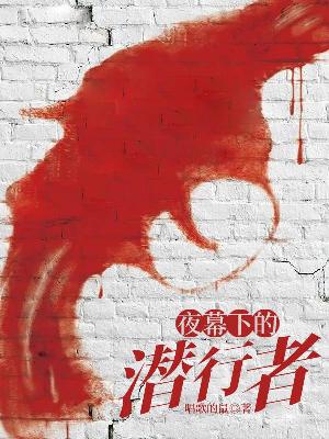 夜幕下的潜行者