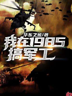 我在1985搞军工