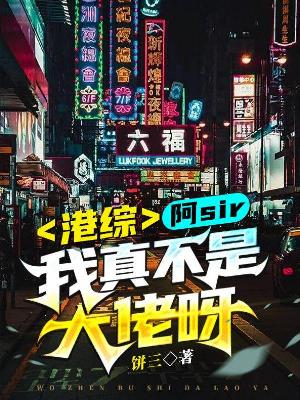 港综：阿sir，我真不是大佬呀